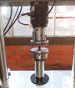 Imagen que contiene interior, tabla, cocina, gato

Descripción generada automáticamente