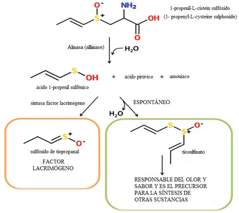 Imagen que contiene texto, mapa

Descripción generada con confianza muy alta