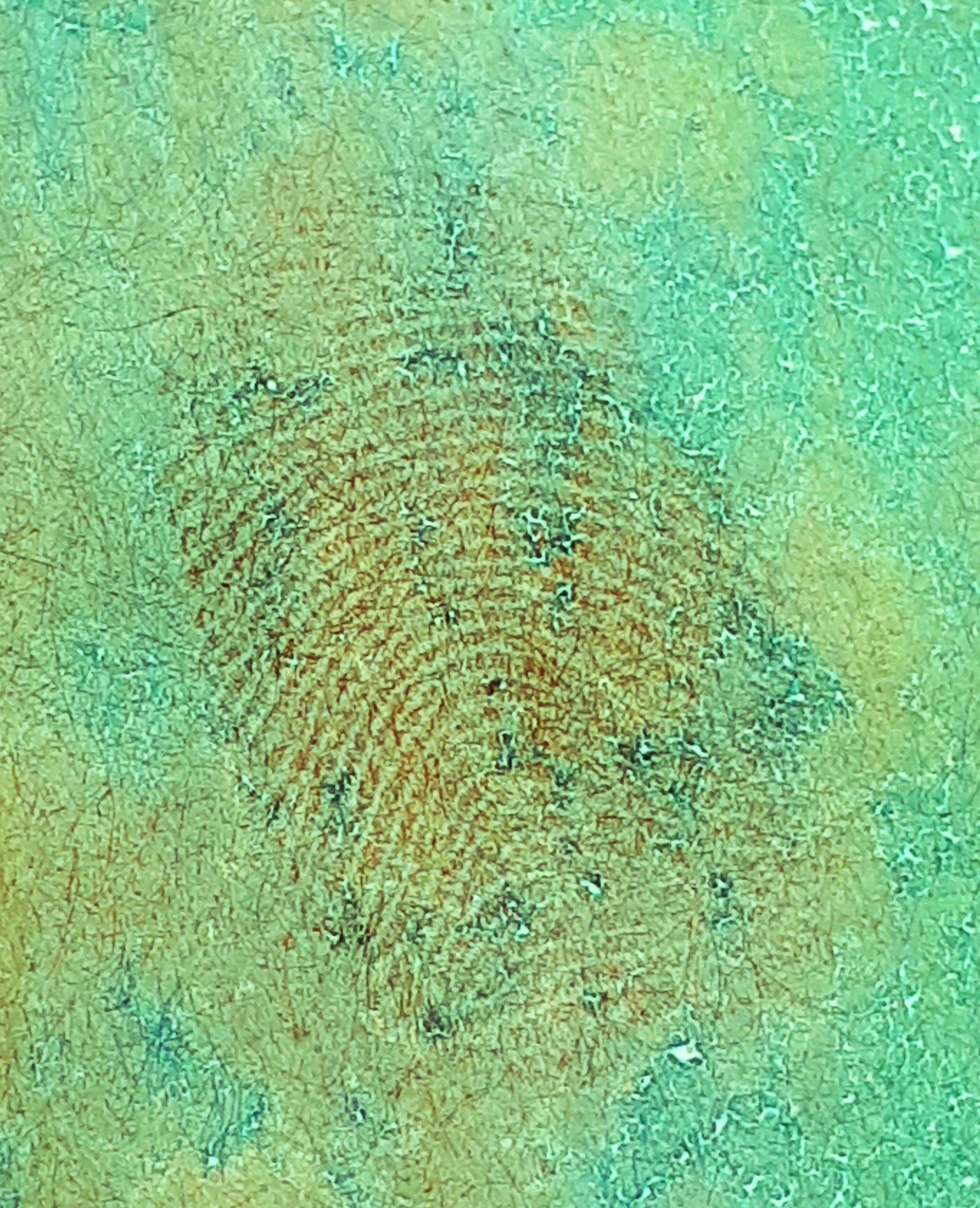 Mapa Descripción generada automáticamente