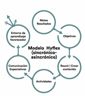 Figura 2. Modelo Hyflex (Beatty, 2006) modificado a partir de Juárez Popoca et al.(2014)